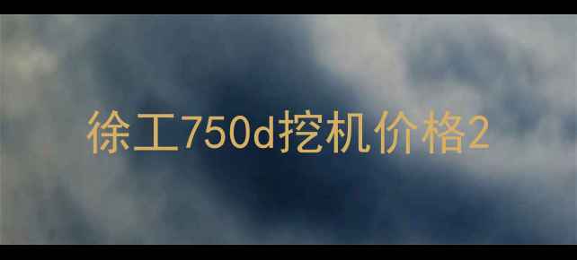 图片 徐工750d挖机价格2