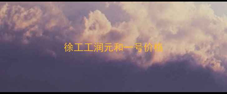 图片 徐工工润元和一号价格