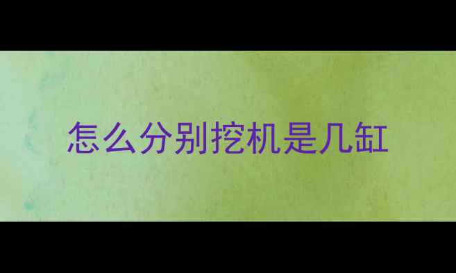 图片 怎么分别挖机是几缸