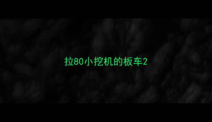 图片 拉80小挖机的板车2