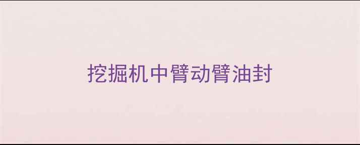 图片 挖掘机中臂动臂油封