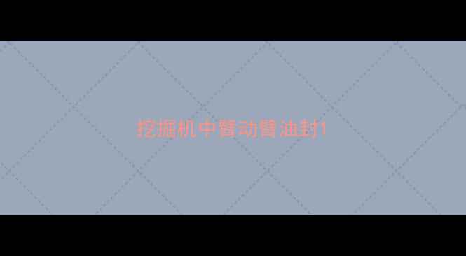 图片 挖掘机中臂动臂油封1