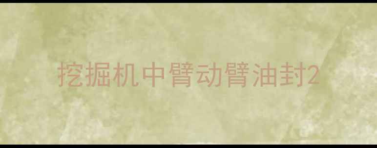 图片 挖掘机中臂动臂油封2