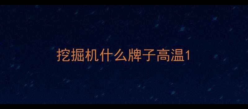 图片 挖掘机什么牌子高温1
