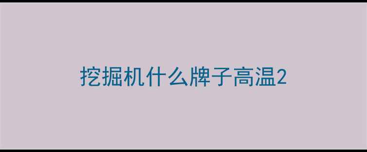 图片 挖掘机什么牌子高温2