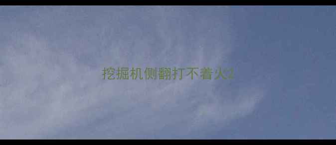 图片 挖掘机侧翻打不着火2