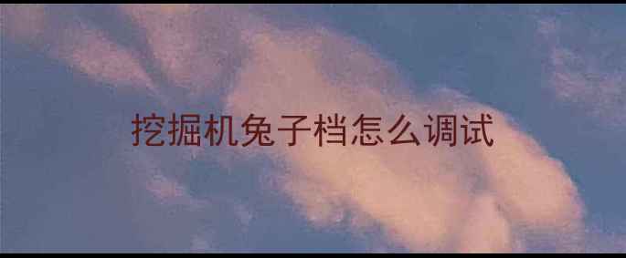 图片 挖掘机兔子档怎么调试