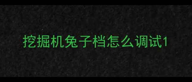 图片 挖掘机兔子档怎么调试1