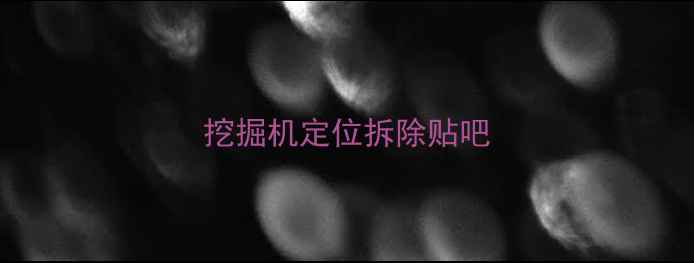 图片 挖掘机定位拆除贴吧