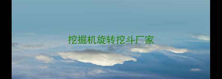 图片 挖掘机旋转挖斗厂家