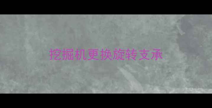 图片 挖掘机更换旋转支承