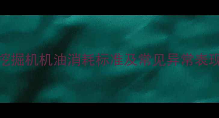 图片 挖掘机机油消耗标准及常见异常表现