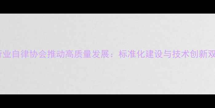 图片 挖掘机行业自律协会推动高质量发展：标准化建设与技术创新双轮驱动1