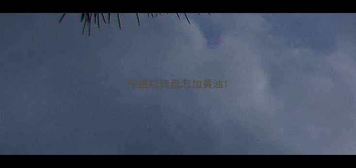 图片 挖掘机转盘怎加黄油1
