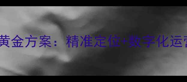 图片 挖掘机配件销售黄金方案：精准定位+数字化运营打造行业标杆1