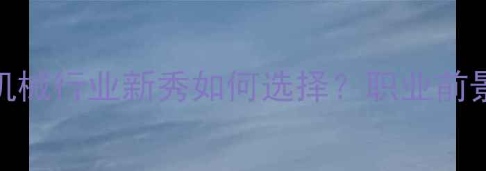 图片 挖机VS货车：机械行业新秀如何选择？职业前景与收入对比全