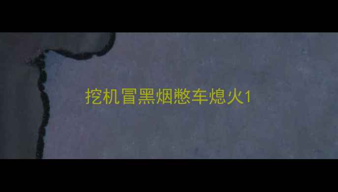 图片 挖机冒黑烟憋车熄火1