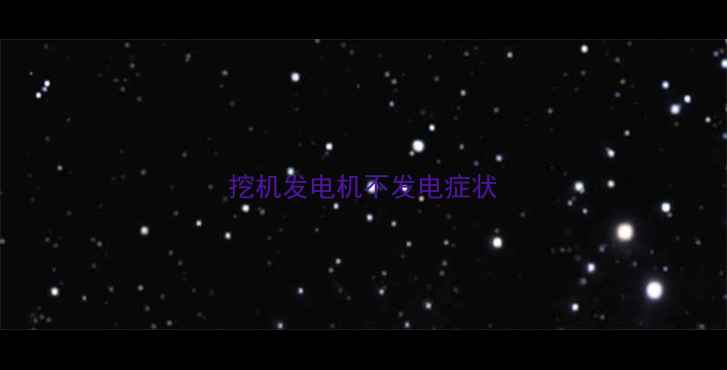 图片 挖机发电机不发电症状