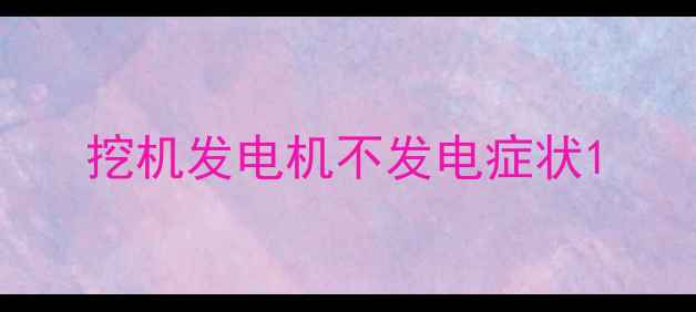 图片 挖机发电机不发电症状1