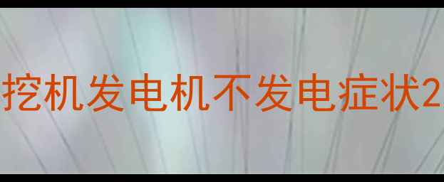 图片 挖机发电机不发电症状2