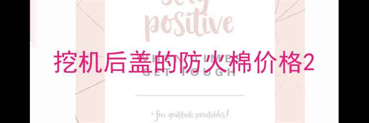图片 挖机后盖的防火棉价格2
