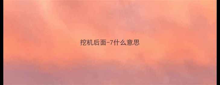 图片 挖机后面-7什么意思