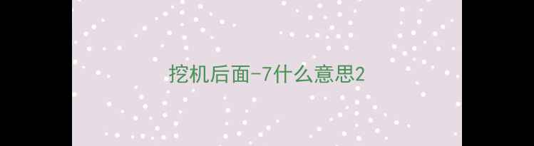 图片 挖机后面-7什么意思2