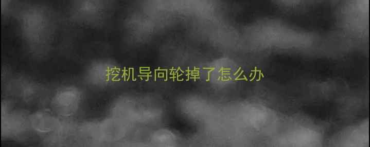 图片 挖机导向轮掉了怎么办