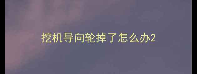 图片 挖机导向轮掉了怎么办2
