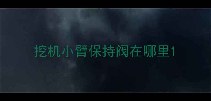 图片 挖机小臂保持阀在哪里1