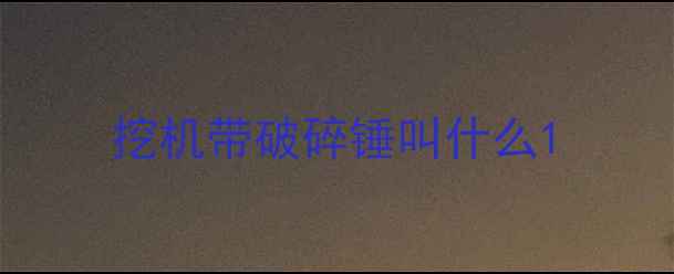 图片 挖机带破碎锤叫什么1