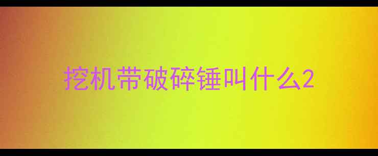 图片 挖机带破碎锤叫什么2
