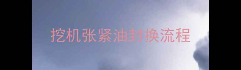 图片 挖机张紧油封换流程