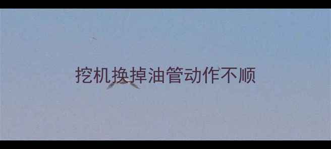 图片 挖机换掉油管动作不顺