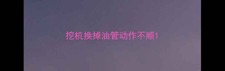 图片 挖机换掉油管动作不顺1