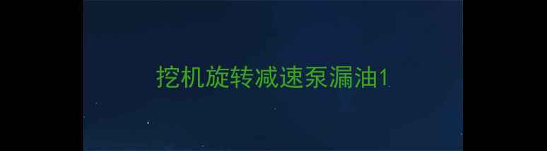 图片 挖机旋转减速泵漏油1