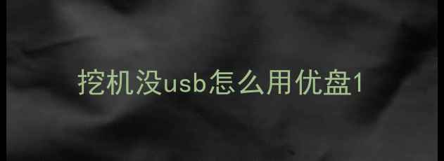 图片 挖机没usb怎么用优盘1