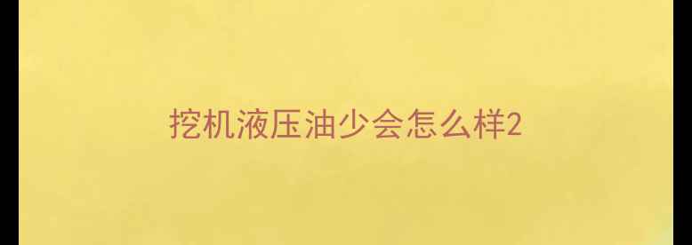 图片 挖机液压油少会怎么样2