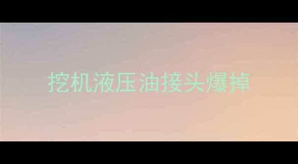 图片 挖机液压油接头爆掉