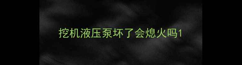 图片 挖机液压泵坏了会熄火吗1