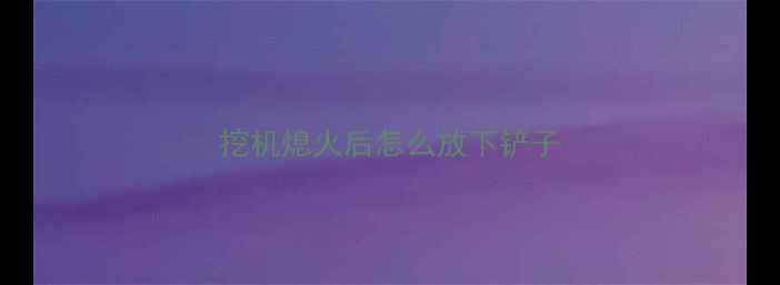 图片 挖机熄火后怎么放下铲子