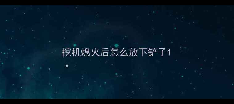 图片 挖机熄火后怎么放下铲子1