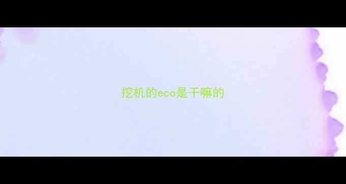 图片 挖机的eco是干嘛的