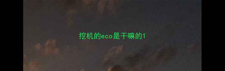 图片 挖机的eco是干嘛的1
