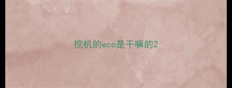 图片 挖机的eco是干嘛的2