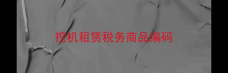 图片 挖机租赁税务商品编码