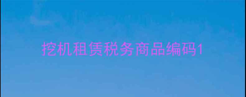 图片 挖机租赁税务商品编码1
