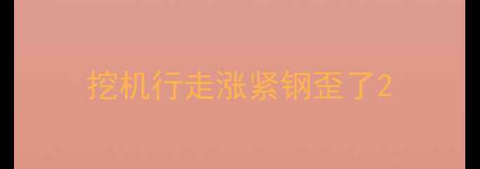 图片 挖机行走涨紧钢歪了2