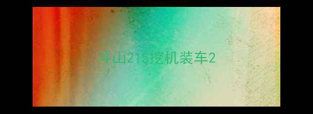 图片 斗山215挖机装车2