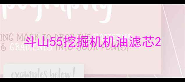 图片 斗山55挖掘机机油滤芯2